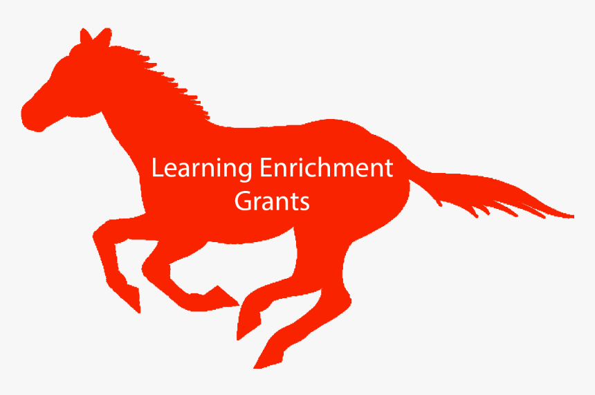 Manillas En Mostacilla De Caballos Clipart , Png Download - Robbins White Pine Shavings, Transparent Png