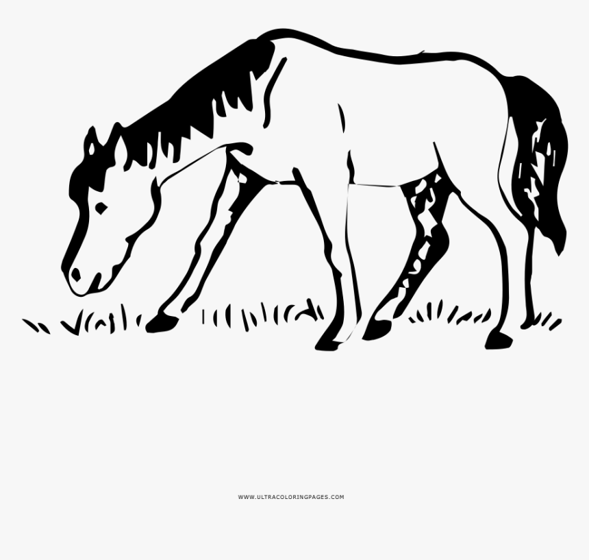 Horse Coloring Page - Mane, HD Png Download