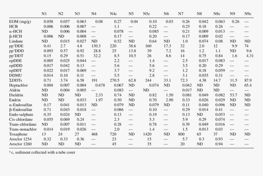 Document, HD Png Download