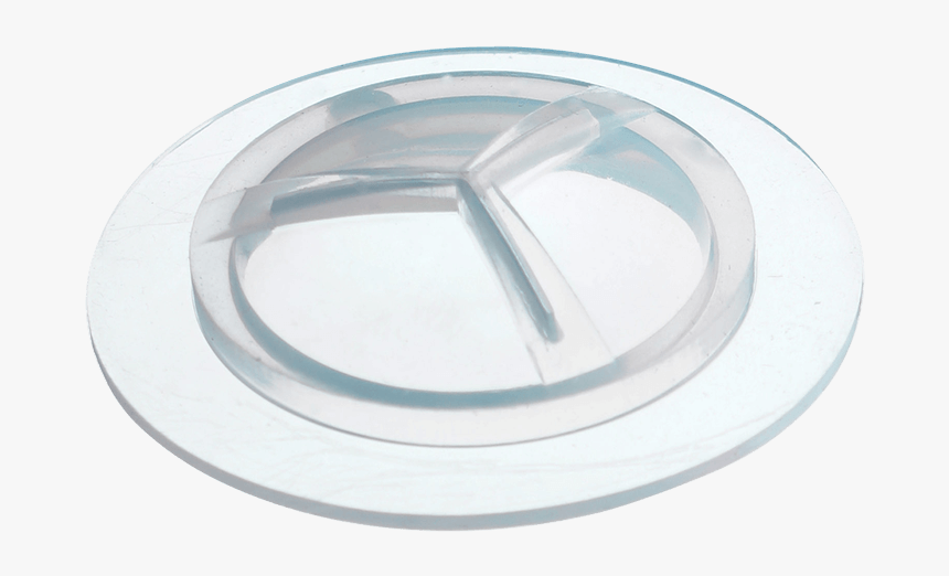 Circle, HD Png Download