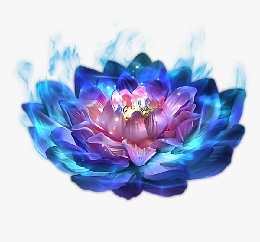 #flordeloto - 莲花 特效, HD Png Download