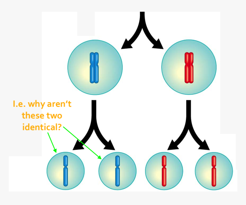 Enter Image Source Here - Graphic Design, HD Png Download