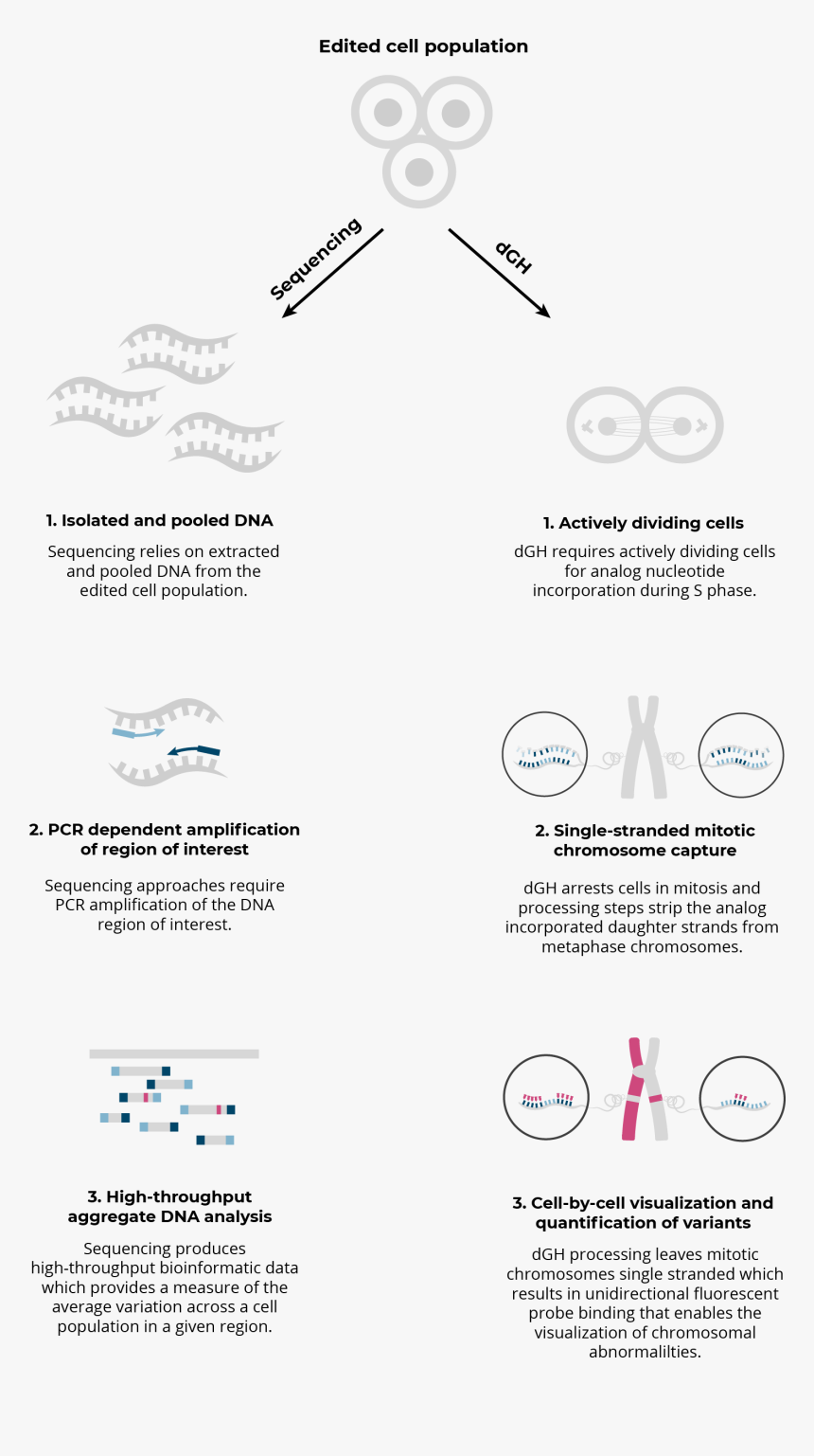 Circle, HD Png Download