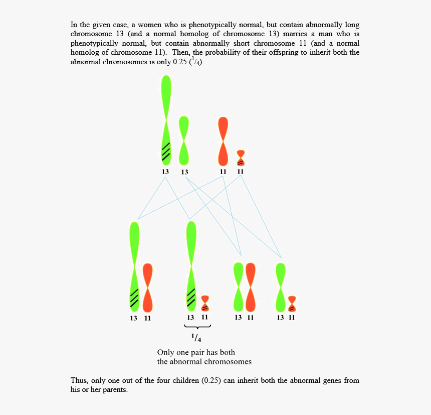 Diagram, HD Png Download