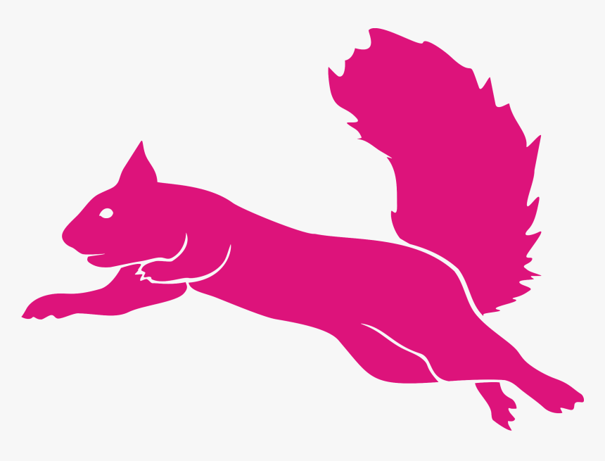 Flying Squirrel Guatemala Flying Squirrel Trampoline Park Logo, HD