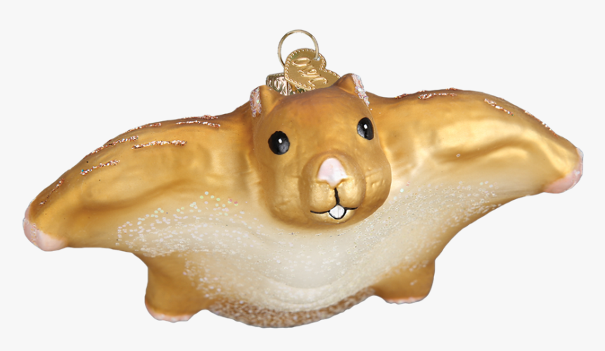 Transparent Flying Squirrel Clipart - Cuttlefish, HD Png Download
