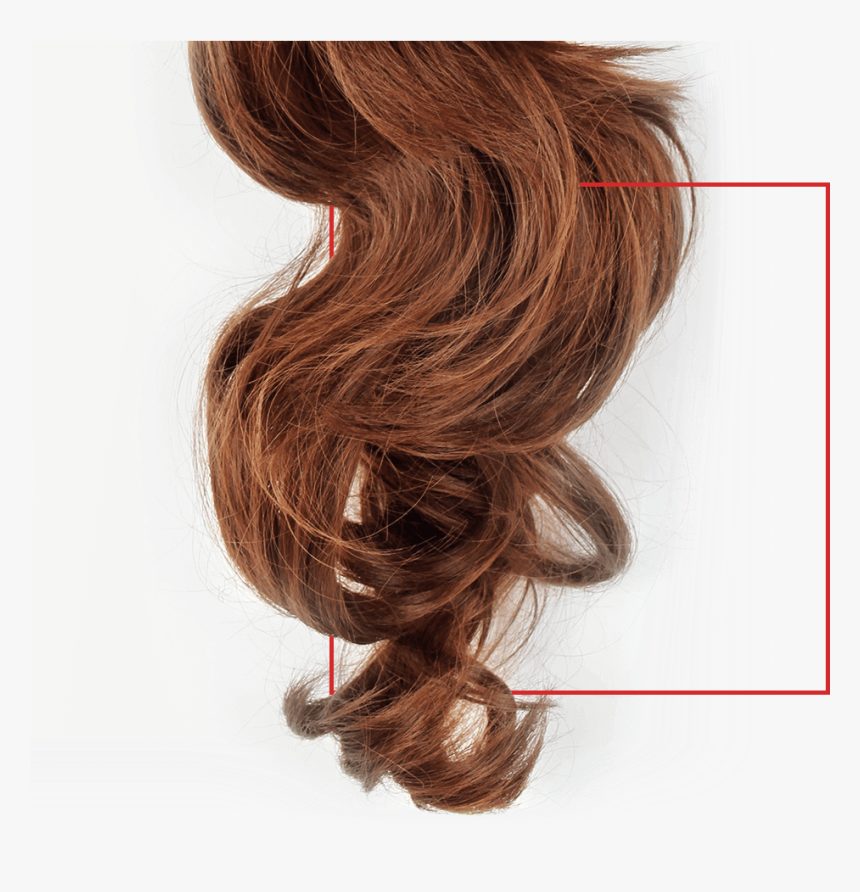 Peluca - Lace Wig, HD Png Download