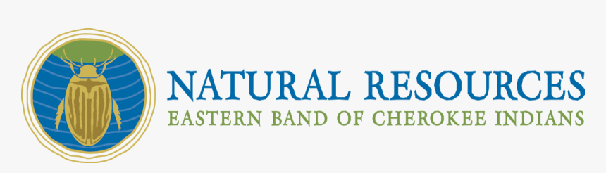 Cherokee Natural Resources - Natural Resources Eastern Band Of Cherokee, HD Png Download