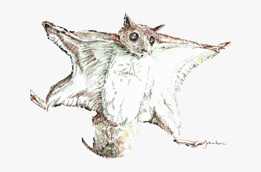 Sketch, HD Png Download