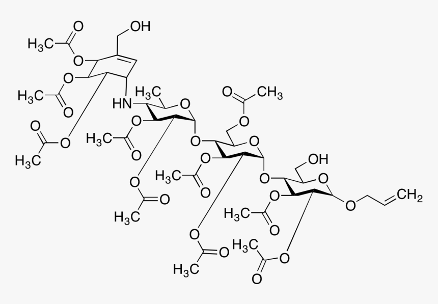 Diagram, HD Png Download