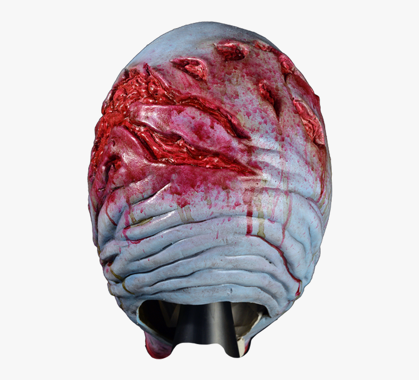 Offal, HD Png Download