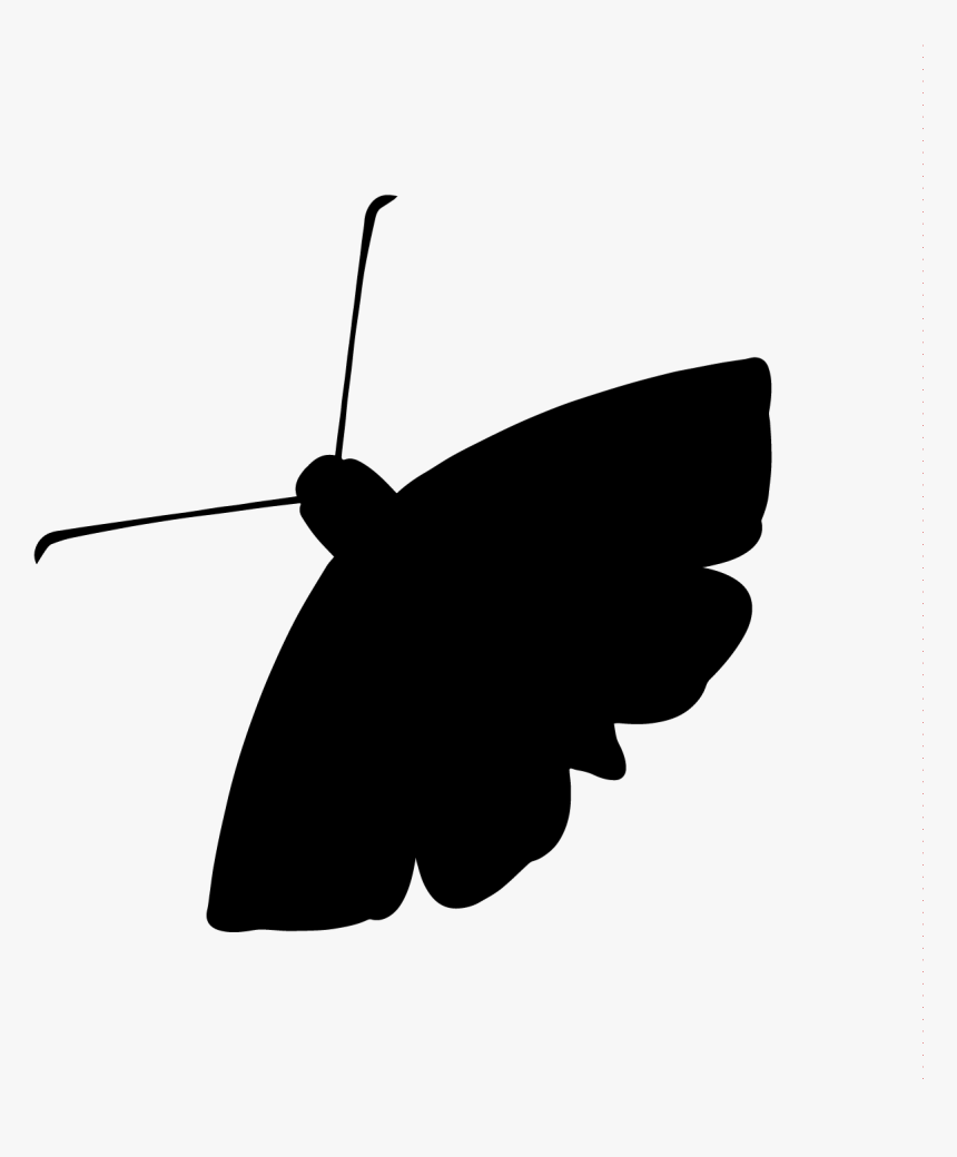 Mission Control Moth Lands, Programs Saved Npr Illinois - Moth Radio Hour Logo, HD Png Download