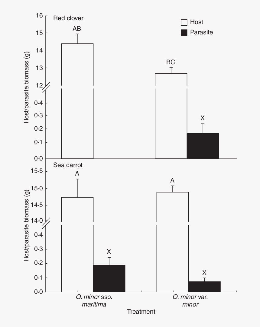 Diagram, HD Png Download