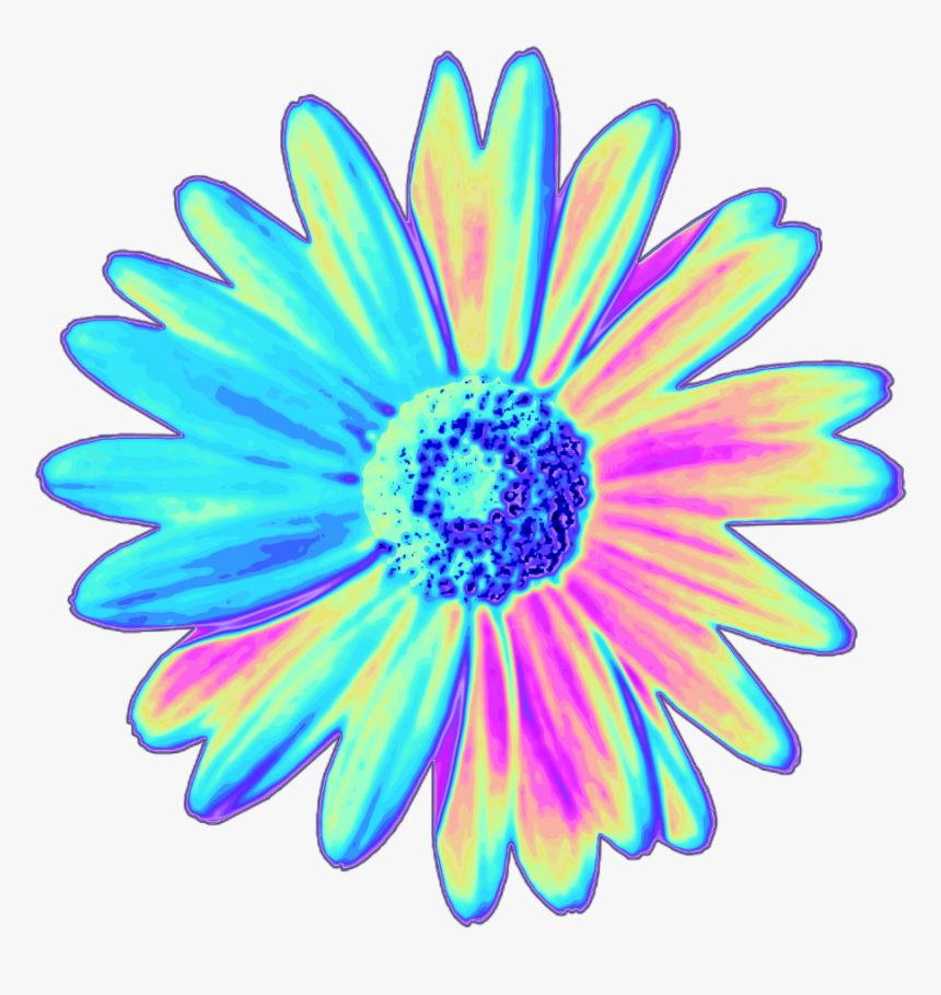 Daisy Holographic Flower Flower Holo Holographic Tumblr - Png Stickers Picsart Png, Transparent Png
