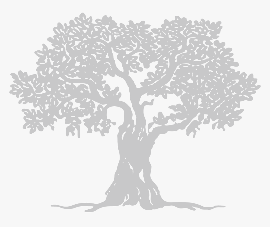 Shepherd Care Ministries, HD Png Download