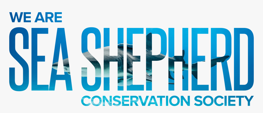 Sea Shepherd Text - Graphic Design, HD Png Download