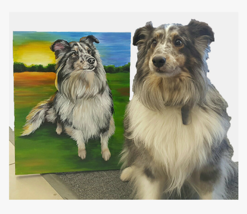 Shetland Sheepdog, HD Png Download