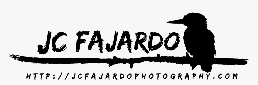 Vamos Rafa, HD Png Download