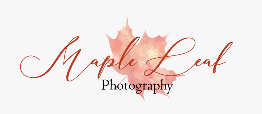 Calligraphy, HD Png Download