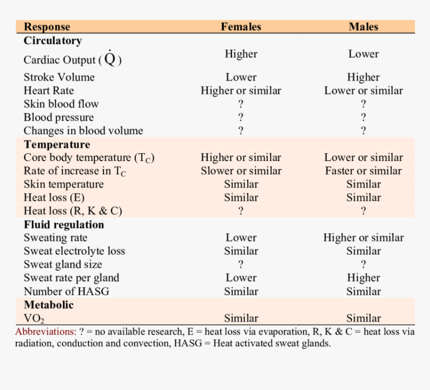 Screenshot, HD Png Download