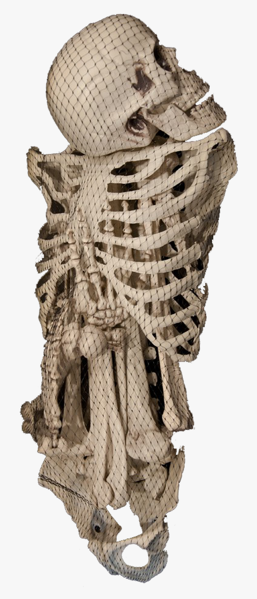 Human Bones - Crochet, HD Png Download