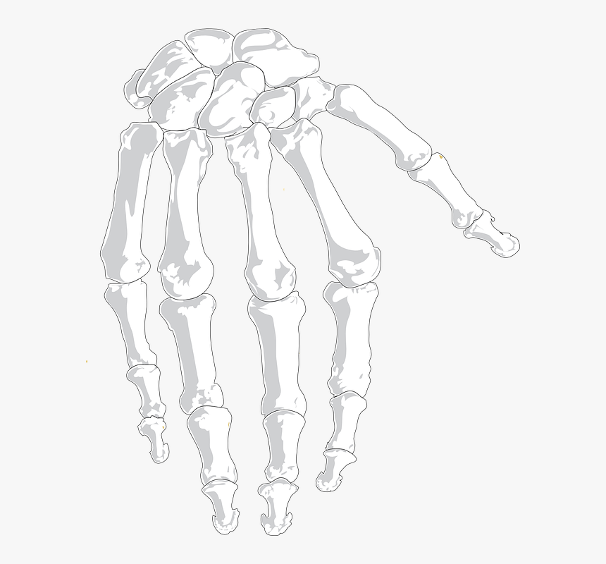 Sketch, HD Png Download