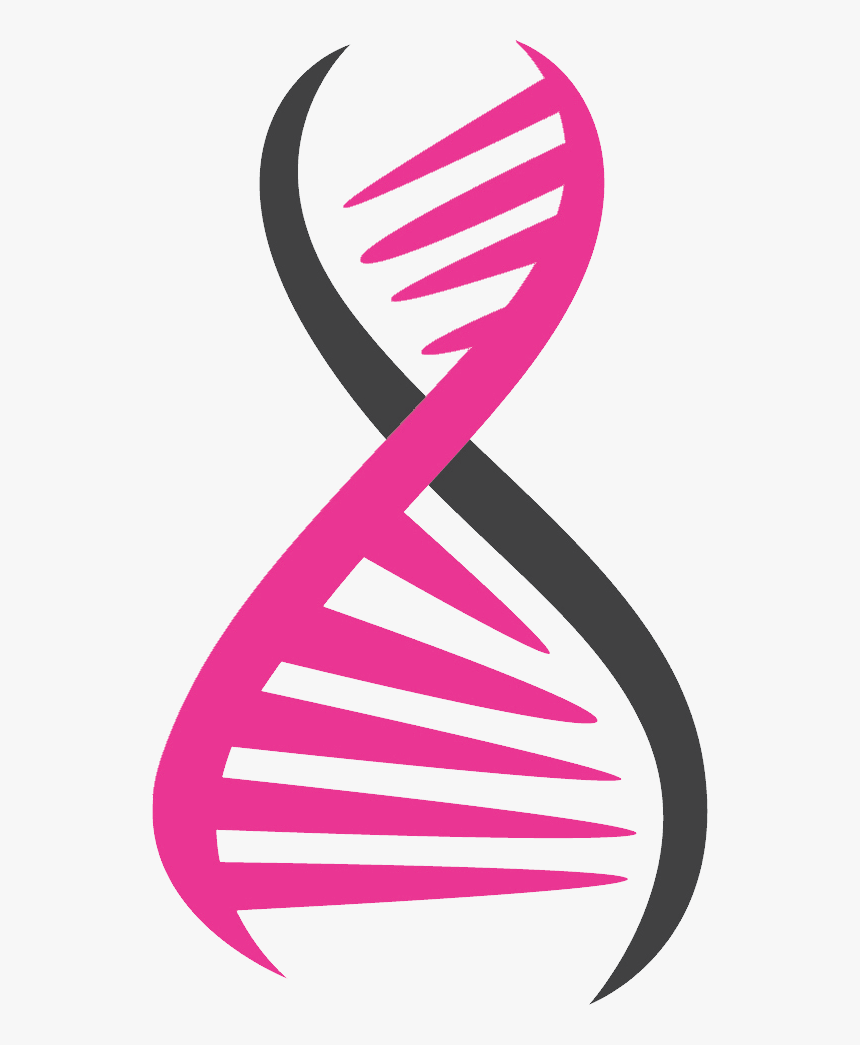 Transparent Dna Clipart - Pink Dna Png, Png Download