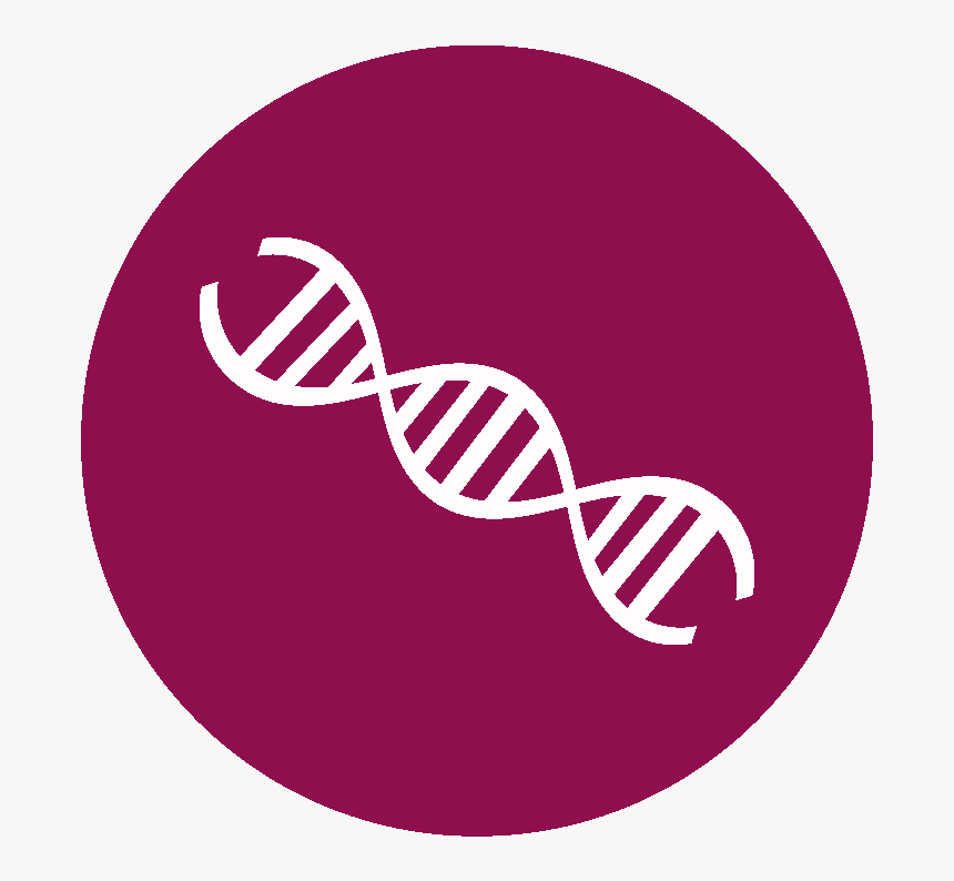 Thumb Image - Png Epigenetica, Transparent Png