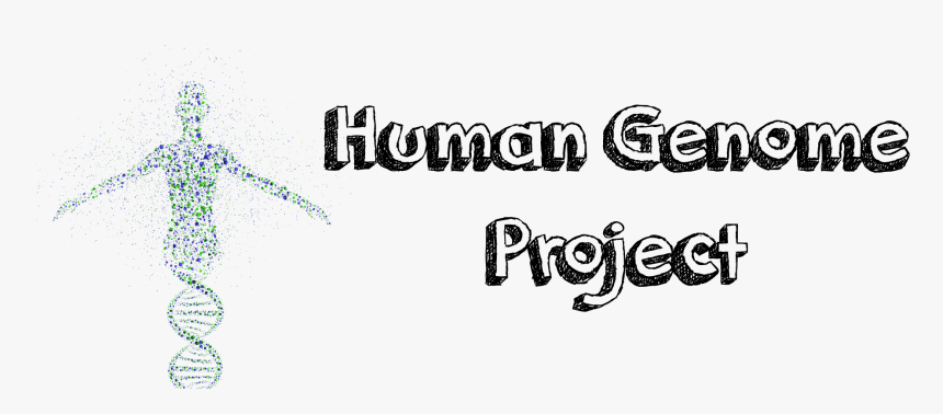 Thumb Image - Calligraphy, HD Png Download