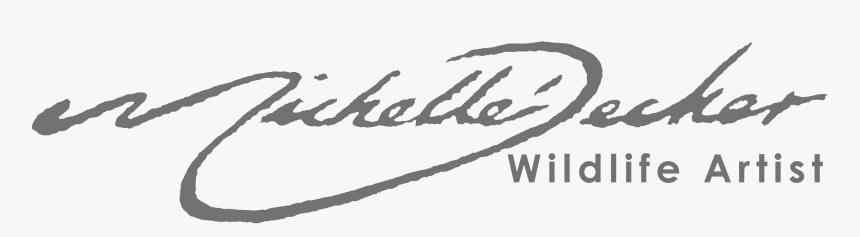 Michelle Decker Wildlife Art - Copyright 2019 All Rights Reserved Text, HD Png Download