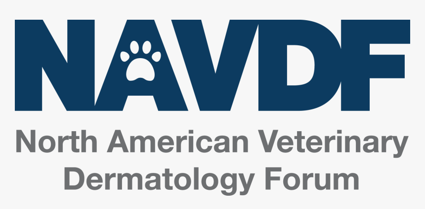 Picture, HD Png Download