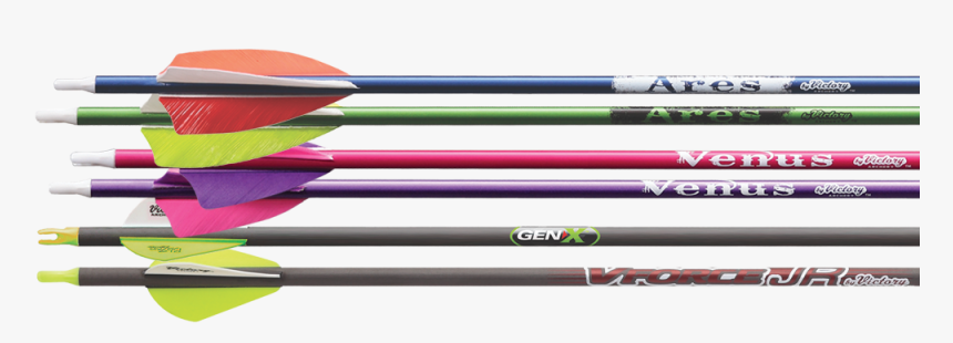 Youth Arrows - Pool, HD Png Download