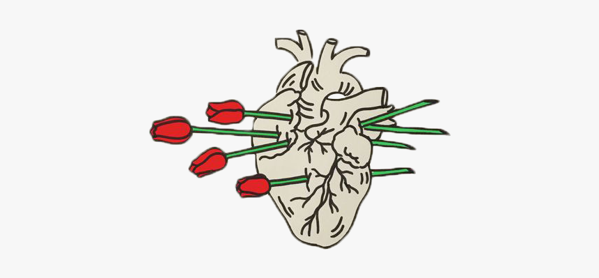 Tumblr Png Download - Png Tumblr Transparent, Png Download