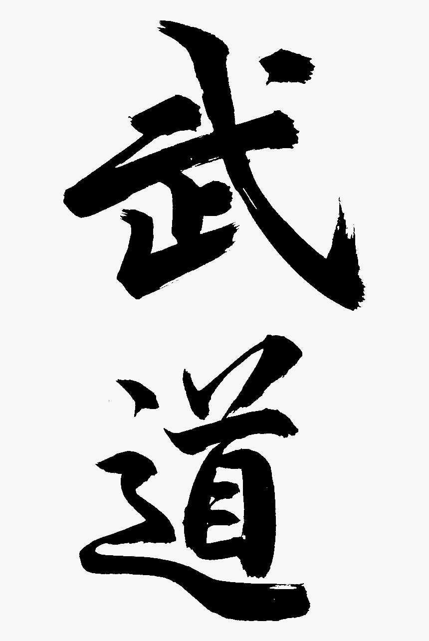 Aikido Png, Transparent Png