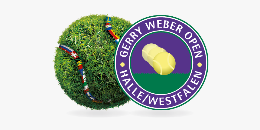 No Javascript - 2015 Gerry Weber Open, HD Png Download