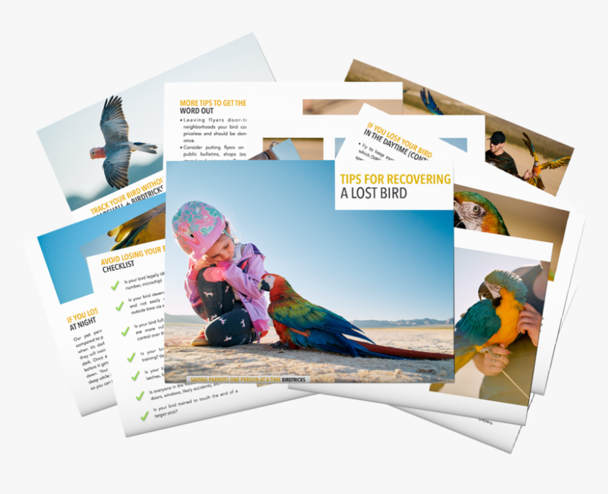 Graphic Design, HD Png Download