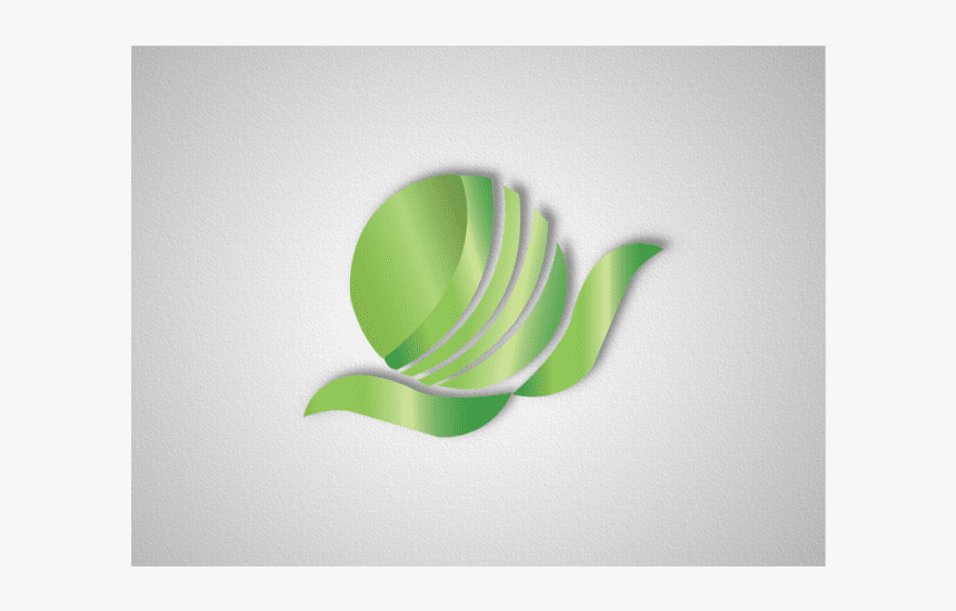 Lymnaeidae, HD Png Download