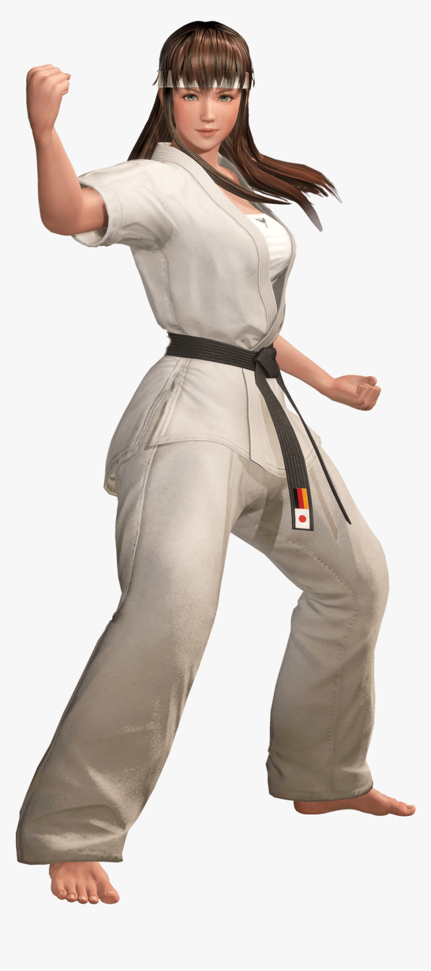 Dead Or Alive Wiki - Hitomi Dead Or Alive Transparent, HD Png Download
