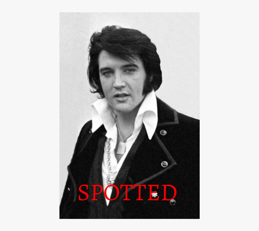 Elvis Presley, HD Png Download