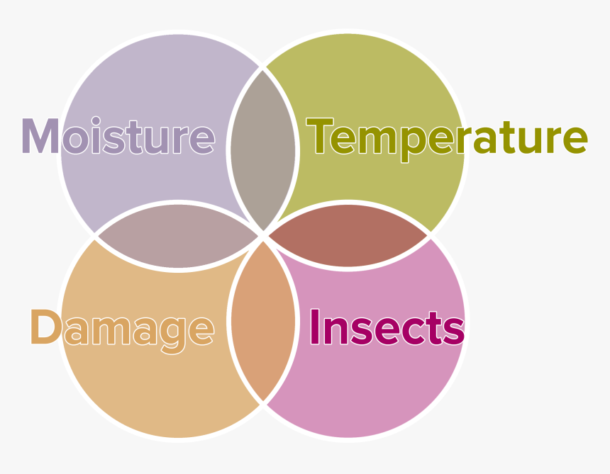 Email Signature Design, HD Png Download