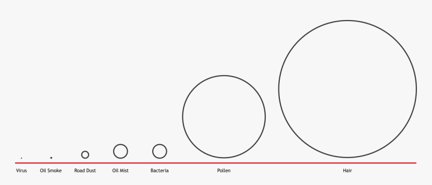 Circle, HD Png Download