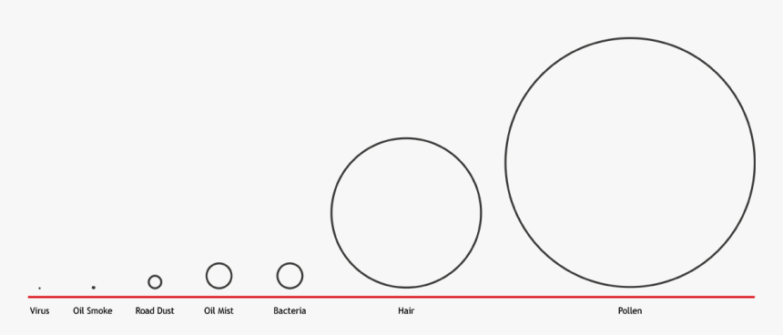 Circle, HD Png Download