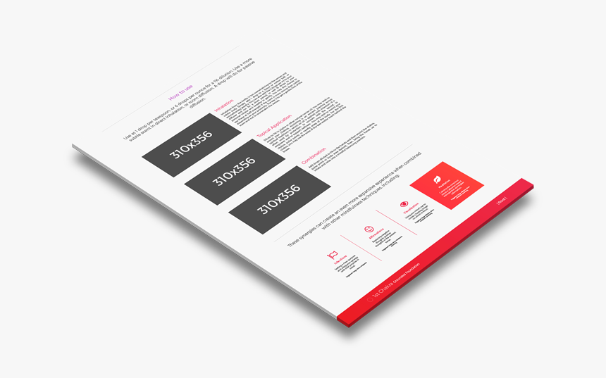 Flyer, HD Png Download