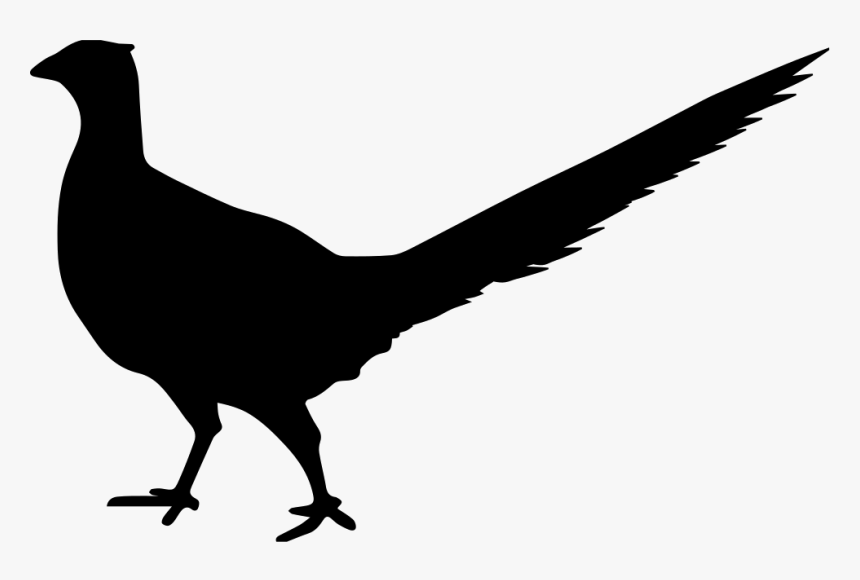 Bird Peasant Animal Shape - Clip Art, HD Png Download