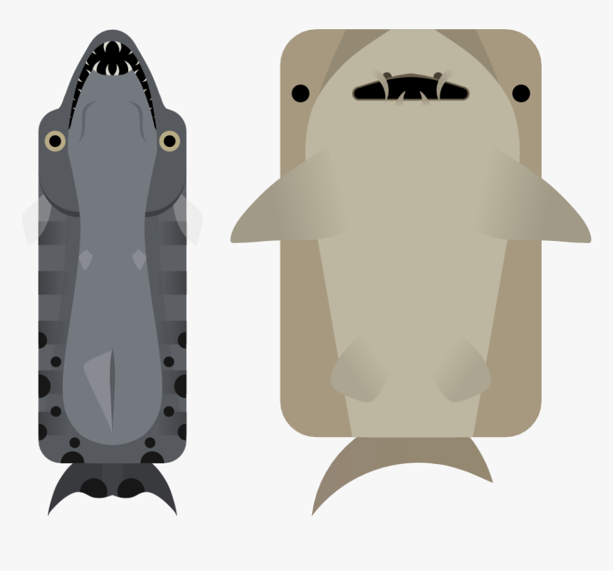 Illustration, HD Png Download
