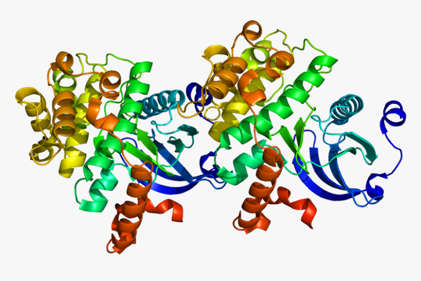 Protein Taok2 Pdb 1u5q - Taok2, HD Png Download