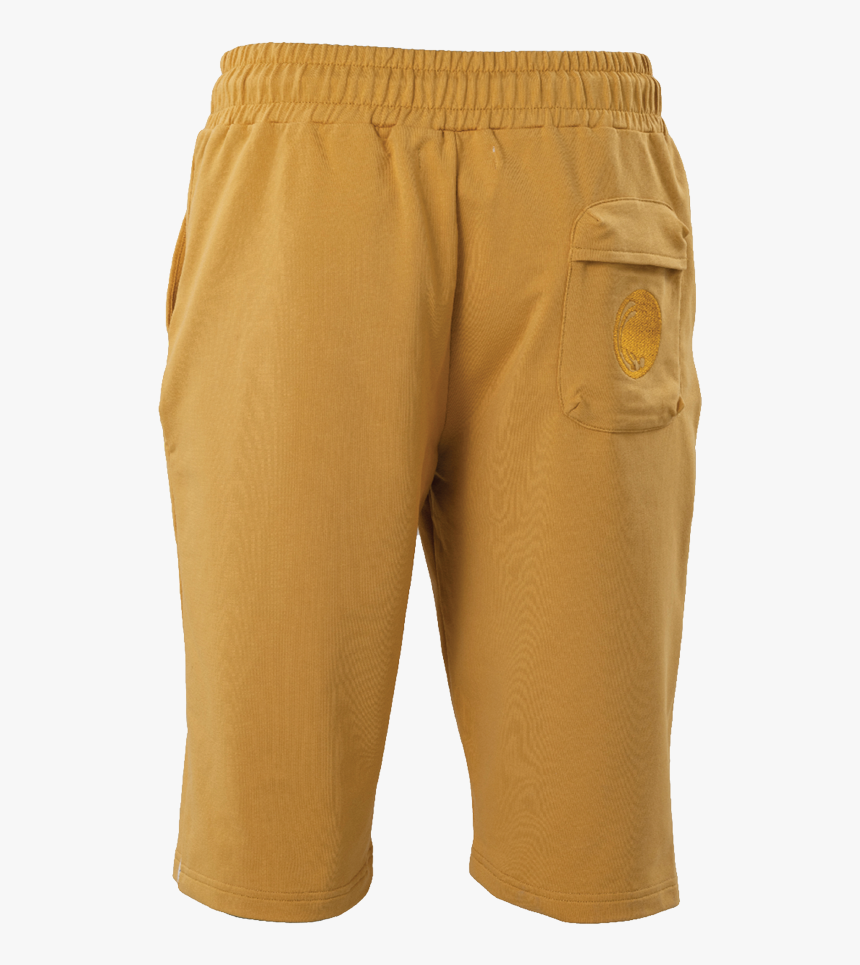 Tao Back M - Pocket, HD Png Download