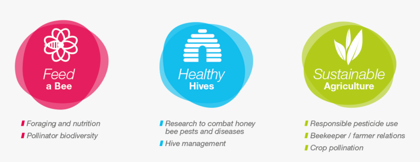 New Bee Care Program - Bayer Bee Care, HD Png Download