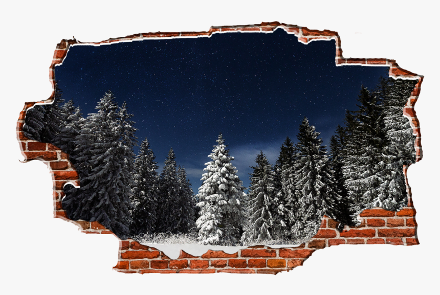 Zapwalls Decals Evergreen Snowy Trees Dark Night Breaking - Snow, HD Png Download