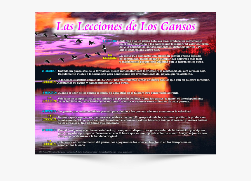 This Is The Spanish Version Of Poster Design - Flyer, HD Png Download